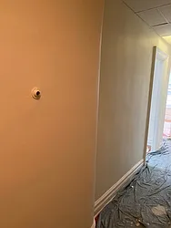 Rented by Virtual Real Estate