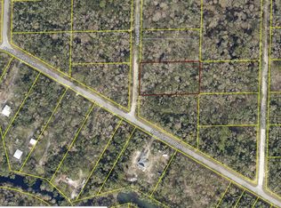 Meridian St LOT 9, Webster, FL 33597