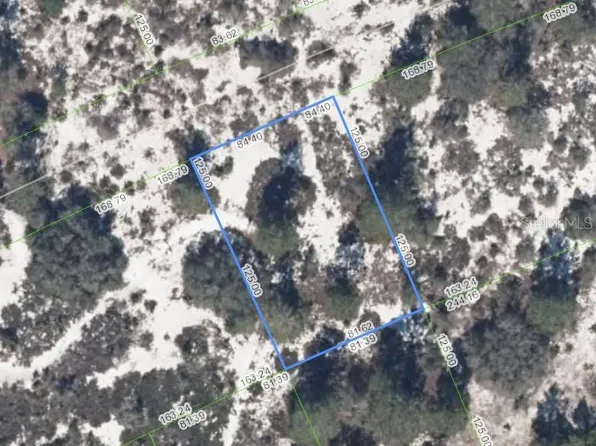 463 Humoresque Ln #4, Lake Placid, FL 33852