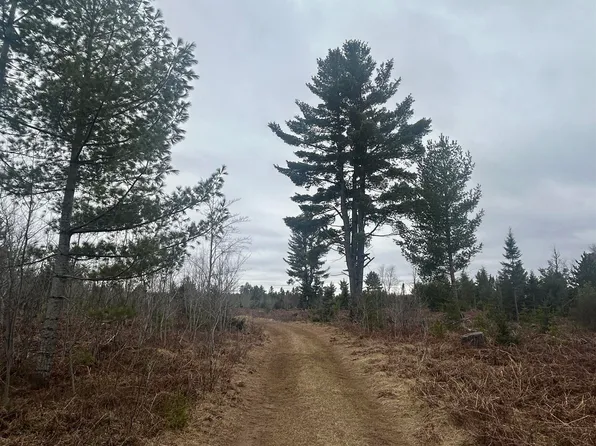 PARCEL 4 W Johnson Lake Rd, Gwinn, MI 49841