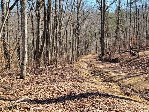 5th image of 0 Poplar Way Lot 2
