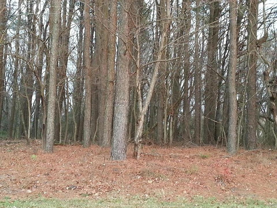 2nd image of Shell Rd