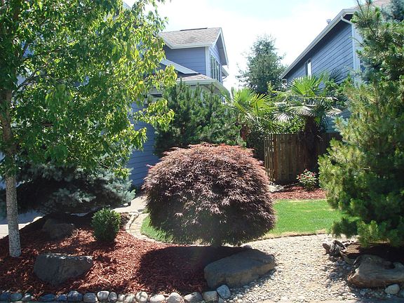 Front yard