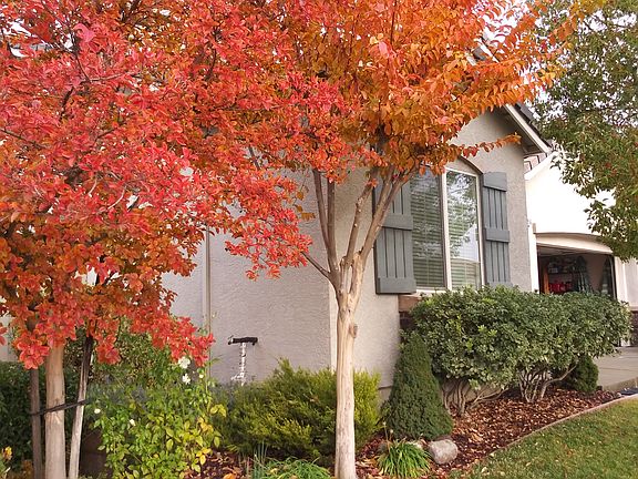 4th image of 2356 Culpepper Ln