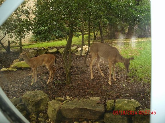 4th image of 5601 Spurflower Dr