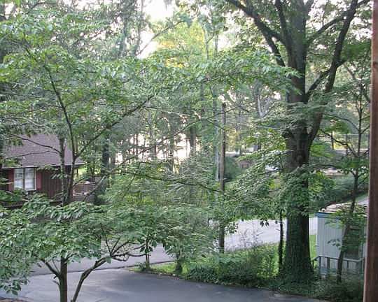 View from the upper deck