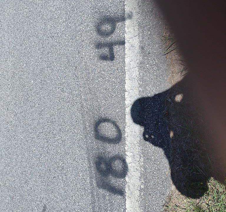 1st image of 180 Cicada Dr SE
