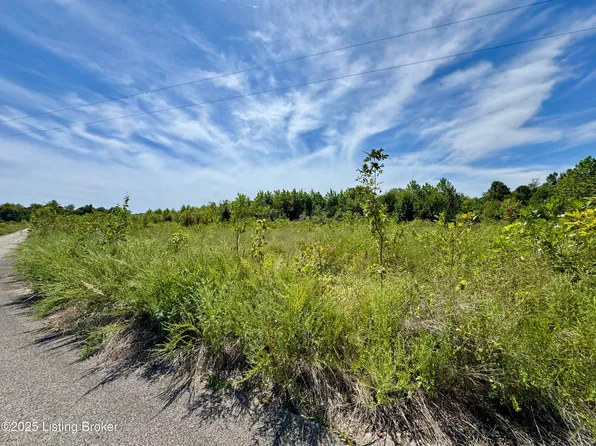 22 Riverboat Cir, Falls Of Rough, KY 40119