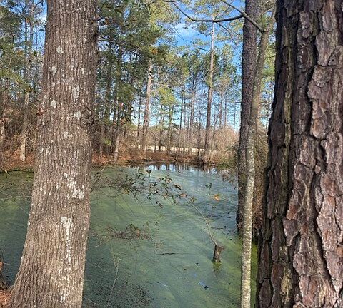 4th image of 0 Old River Rd #Tract