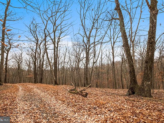 4th image of Hawks Hill Ln