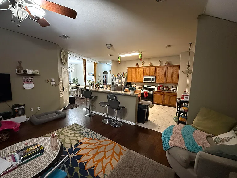 1619 Mineral Springs Dr — Photo 8