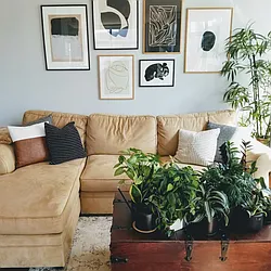Rented by Voro NYC
