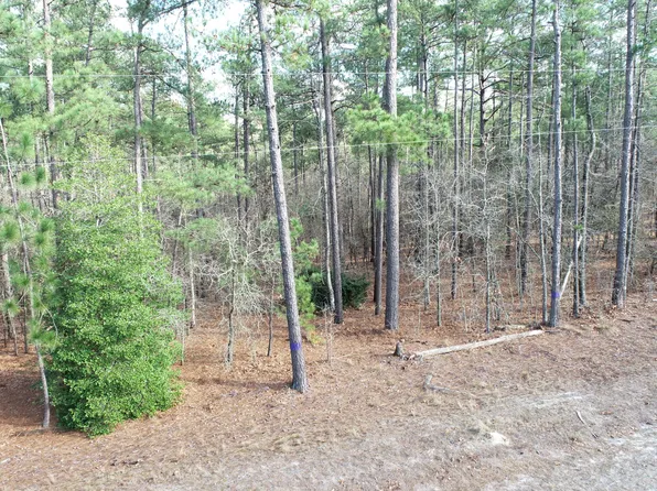 Lot 2 Flowers Rd, Jackson Springs, NC 27281