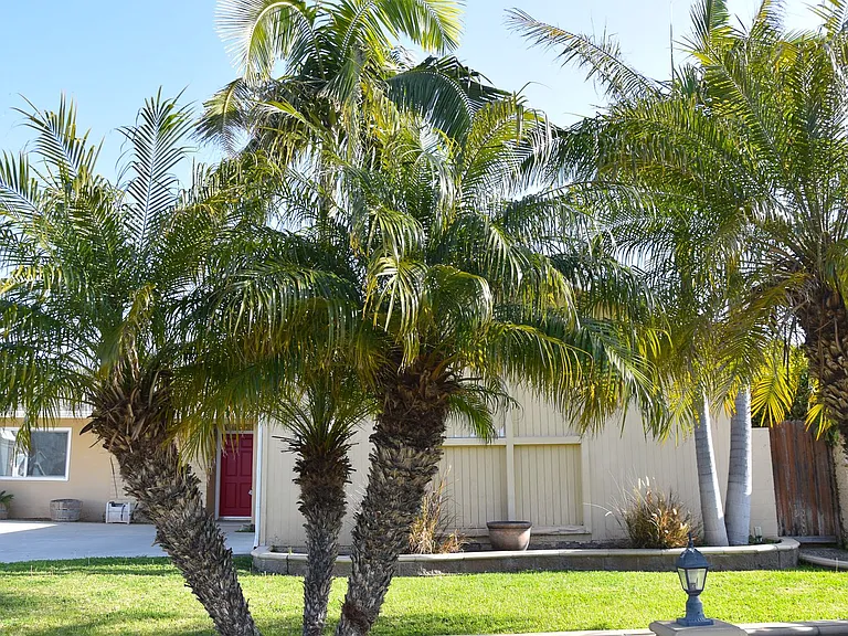 2318 E Coolidge Ave — Photo 55
