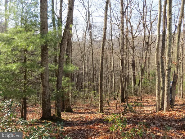 12 Cedarwood Drive Rd, Mathias, WV 26812