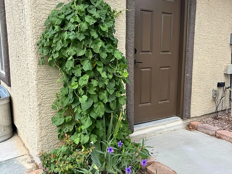 Private Entrance