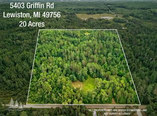 5403 Griffin Rd, Lewiston, MI 49756