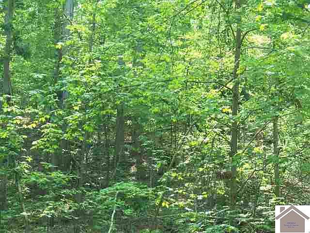 1st image of LOT 83 Champion Hills Rd