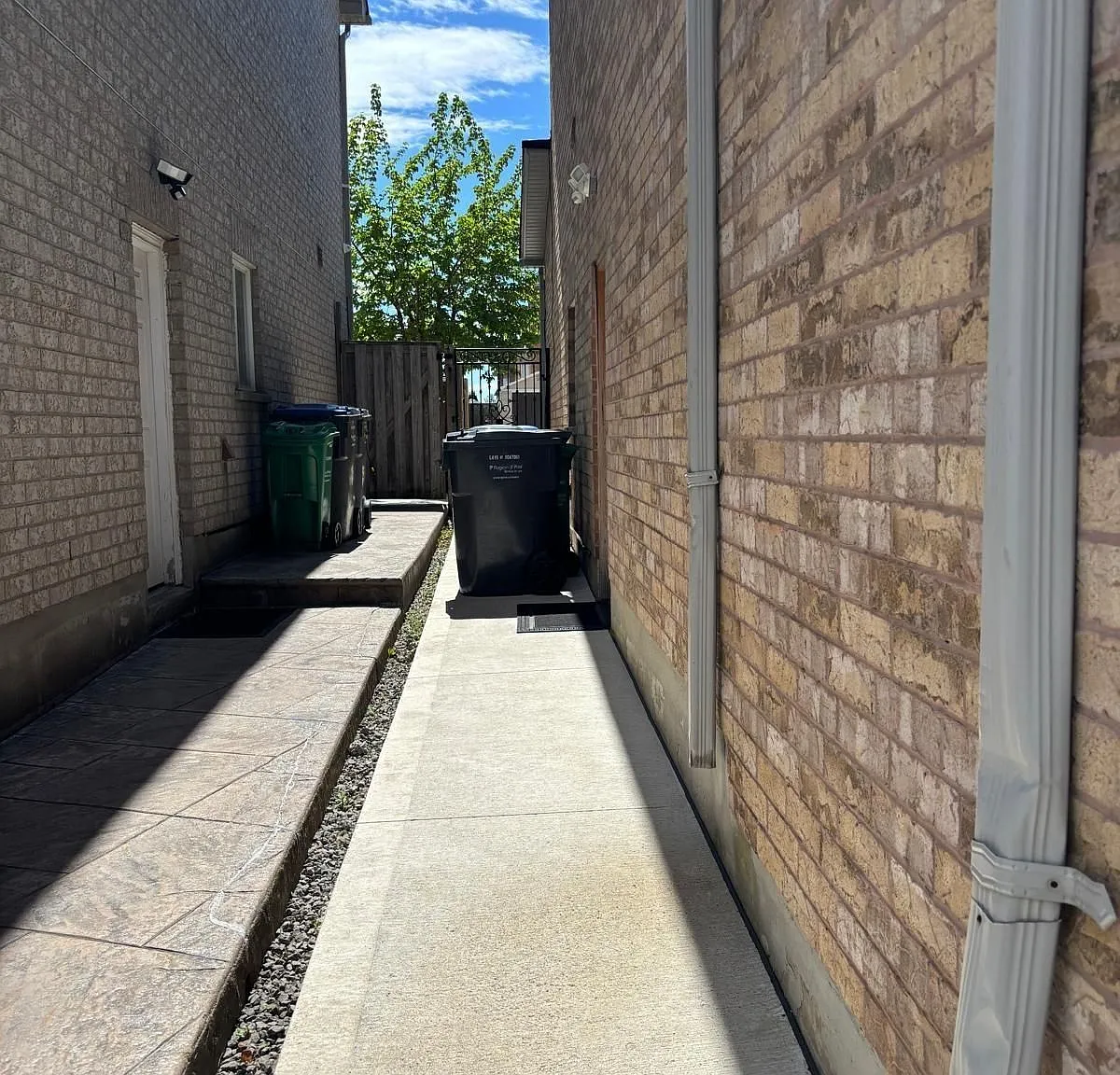1 bed, $1,500 — Photo 3