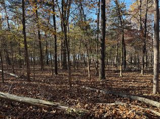 40 Point Ct, Theodosia, MO 65761