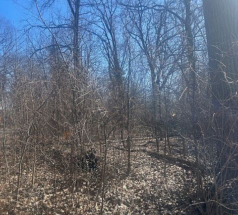 4th image of 4559 Coburn Ave