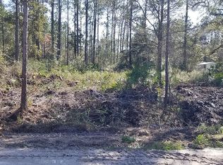 469 Jill Rd, Middleburg, FL 32068