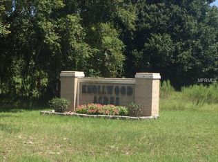 32528 Greenwood Loop, Wesley Chapel, FL 33545