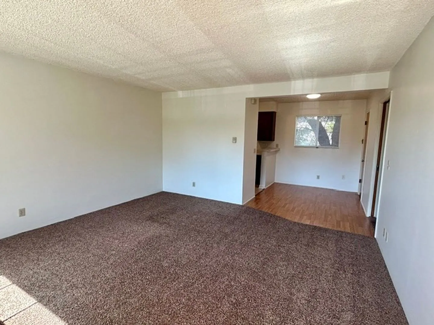 2034 Bath Street — Photo 3