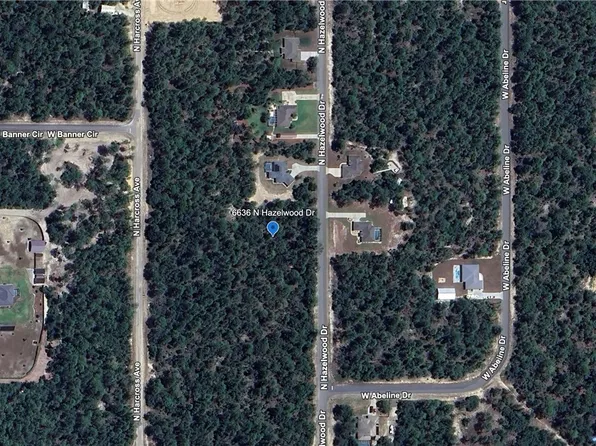 6636 N Hazelwood Dr, Citrus Springs, FL 34433