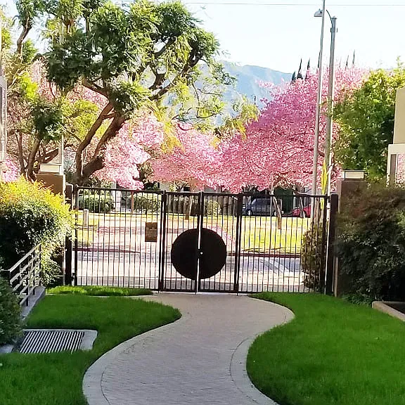 Parc Pointe Apartments — Photo 40