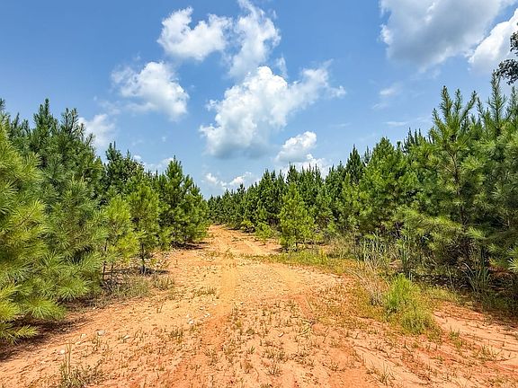 Compass South Land Sales Bear Hill Tract Alabama 05
