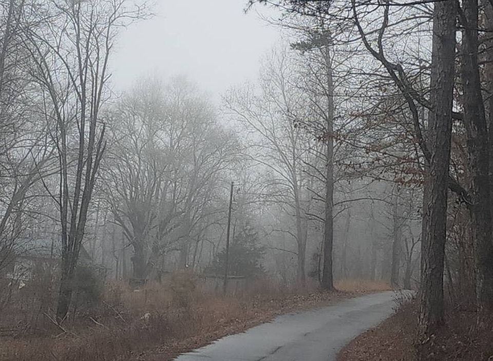 2nd image of 263 Tom Bell Odom Rd