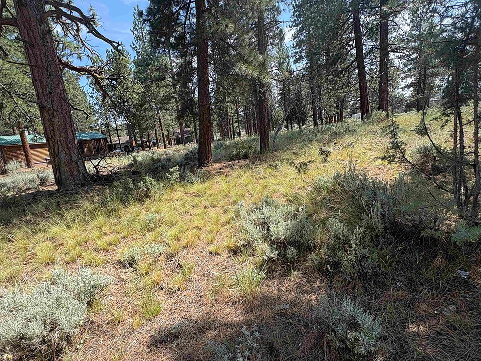 1st image of 686-970 Hemlock Way