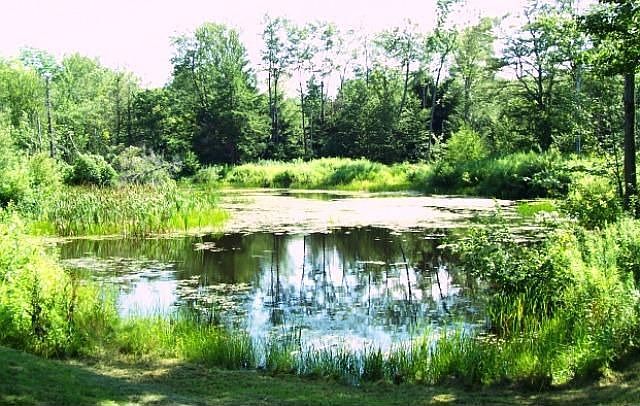 2nd image of 4315 County Route 95