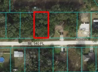 LOT 85 SE 140th St LOT 85, Summerfield, FL 34491