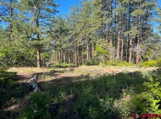 257 Pine Cone Dr, Bayfield, CO 81122