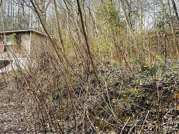 3rd image of 1659 Joe Brown Hwy