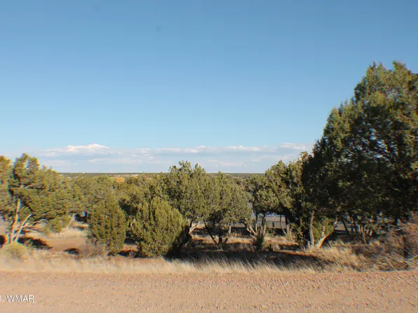 2020 Silver Creek Dr, Show Low, AZ 85901