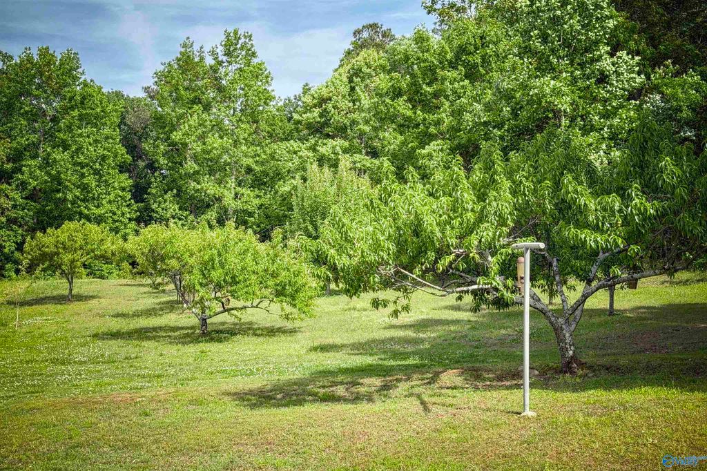 4998 County Road 196, Danville, AL - More