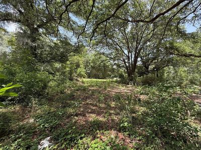 101 Joel Ave LOT 15, Interlachen, FL, 32148