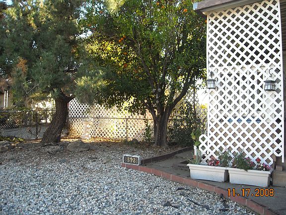 Looking at the front yard