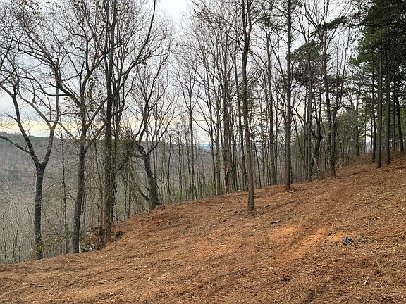 4th image of 4690 Split Rail Way #1359