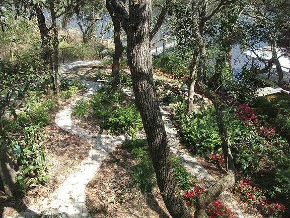 1st view from inside the house overlooking front yard
