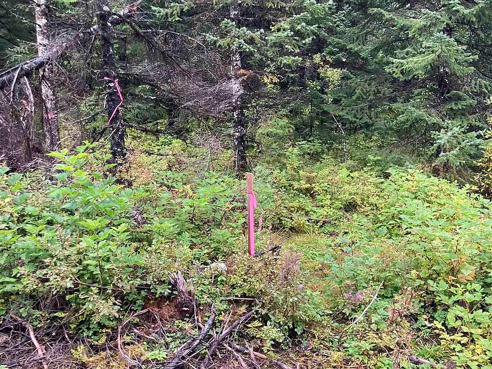 300 Cedar St, Yakutat, AK 99689 Zillow