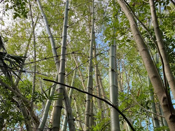 411 Solona St #11, Punta Gorda, FL 33950