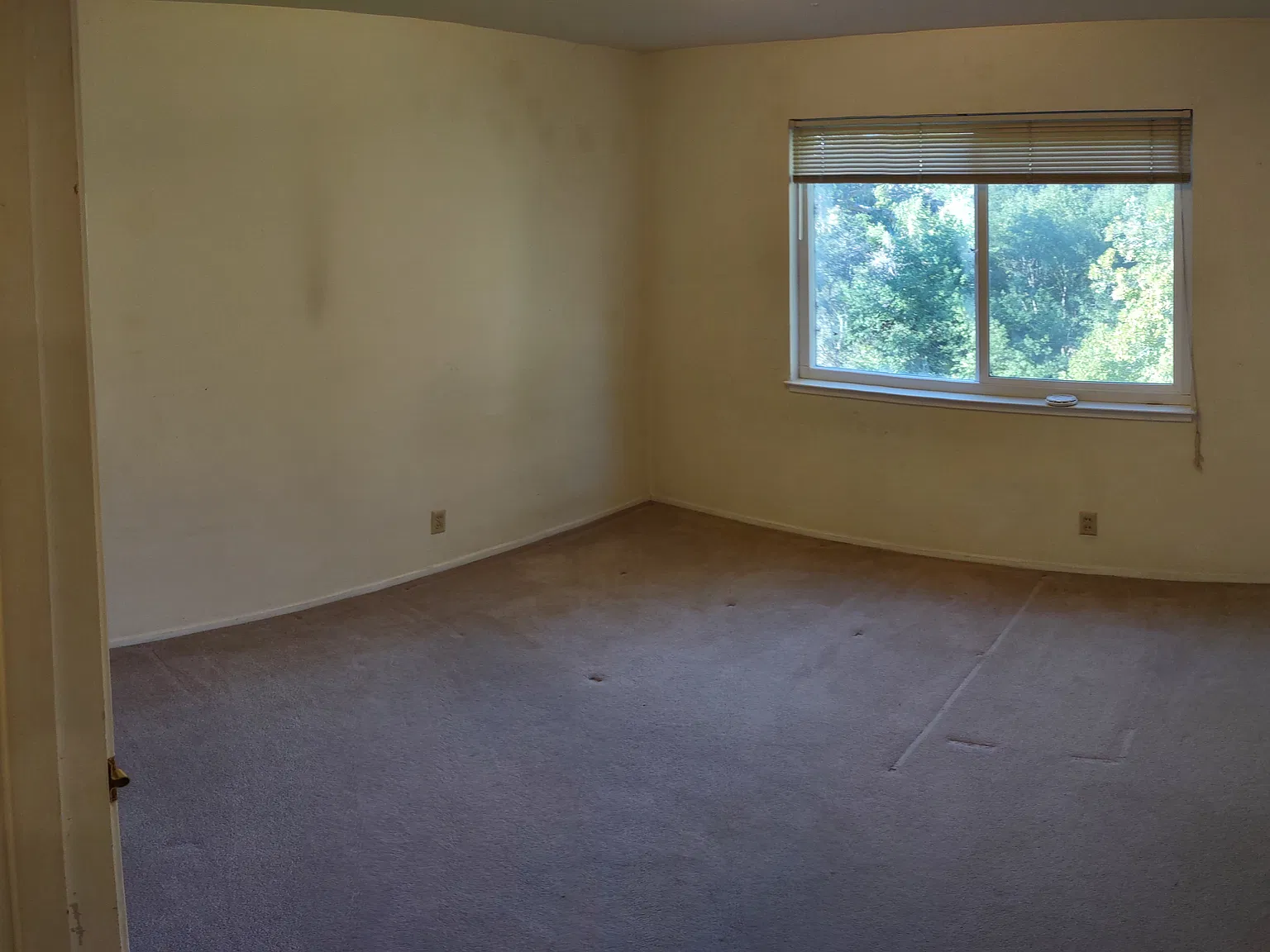 1 bed, 469 sqft, $2,000 — Photo 4