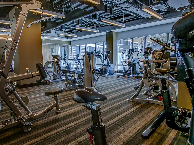 Fitness and Wellness Center