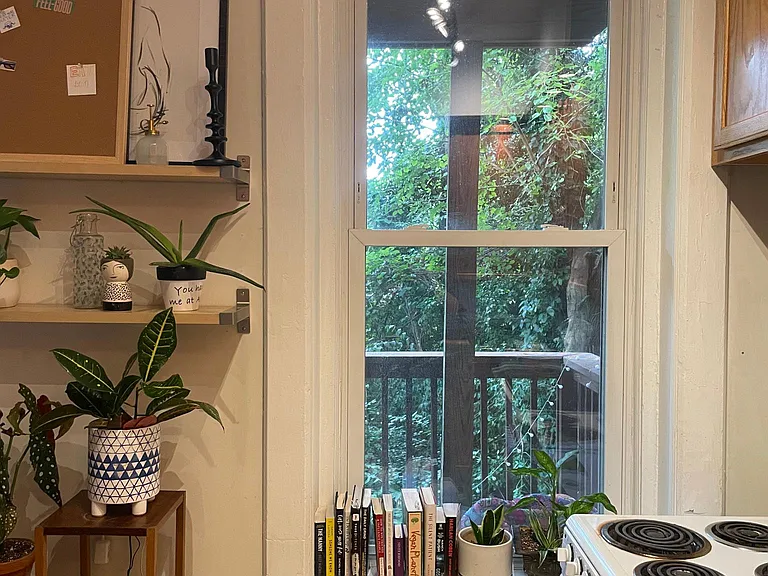 Kitchen Window - Looking out to rear area