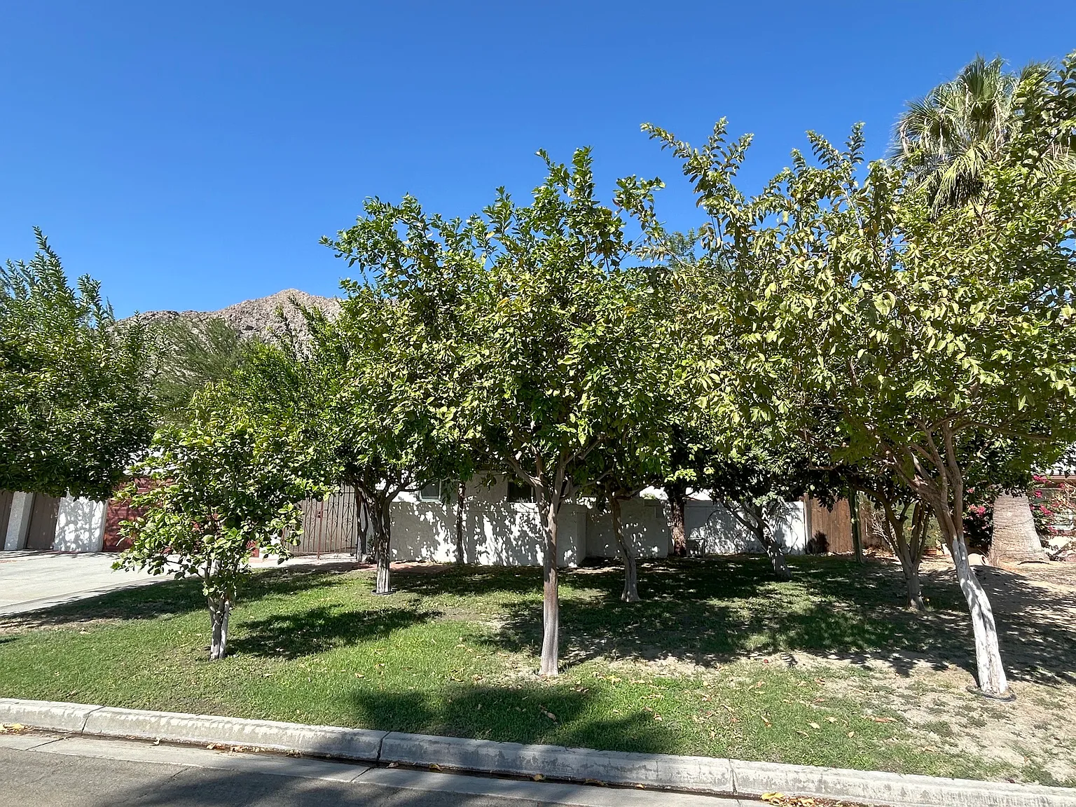 3 bed, 1299 sqft, $2,895 — Photo 3