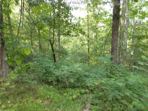 3182 Staves Branch Rd, Fraziers Bottom, WV 25082